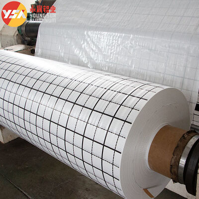 Woven Fabric Printing +PE Extruding Black And White Checkered Printed