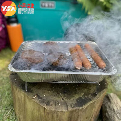 Disposable Grilling Trays Instant Charcoal Grill One Time Use Throw Away Grill